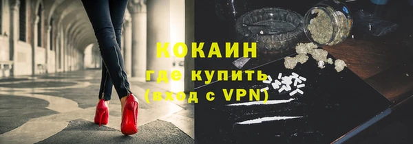 ешки Алексин