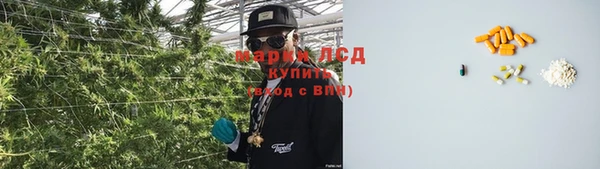 спайс Алзамай