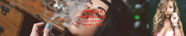 ешки Алексин