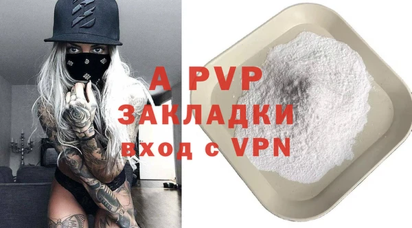ешки Алексин