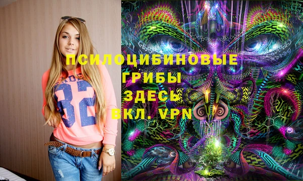 спайс Алзамай